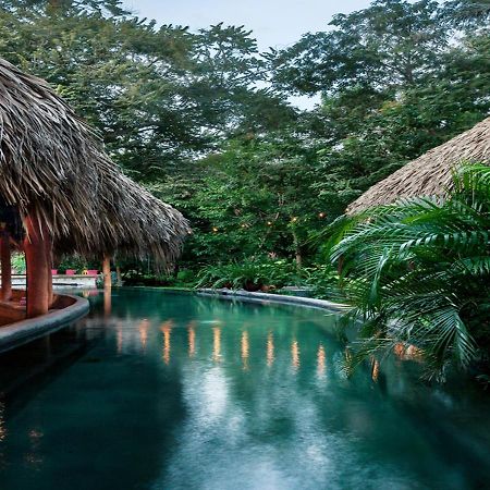 The Space Jungle Oasis San Juan del Sur Eksteriør bilde